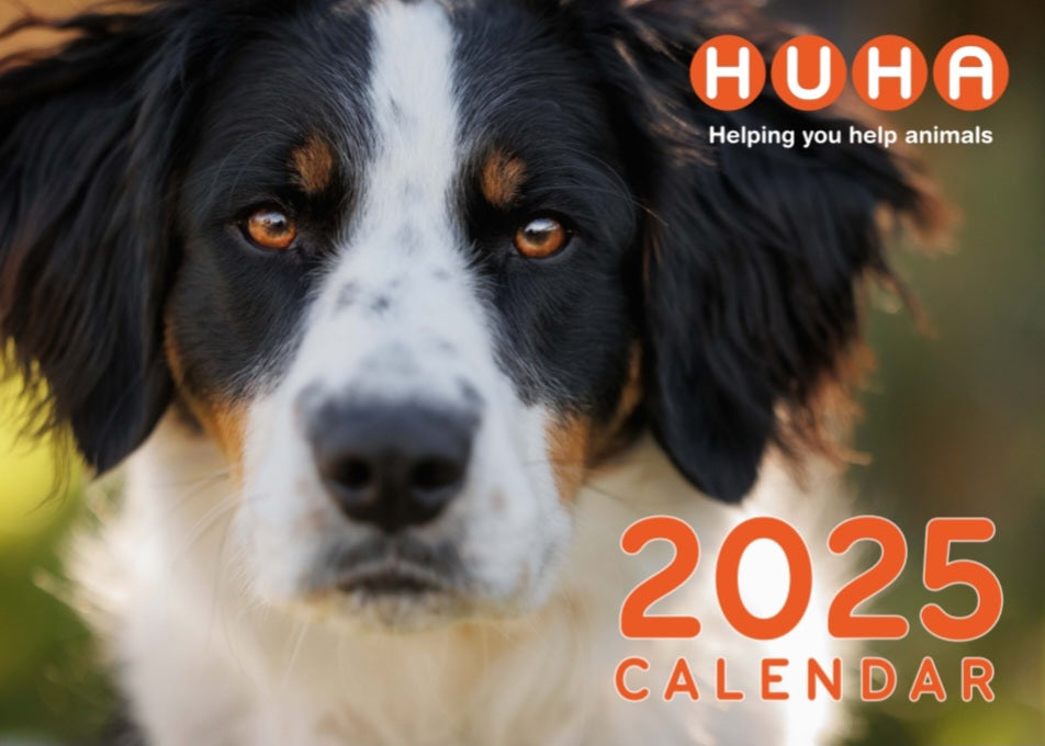 2025 Fundraising Calendar