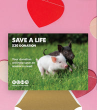 Load image into Gallery viewer, Valentine&#39;s E-Card $30 Save a Life Donation
