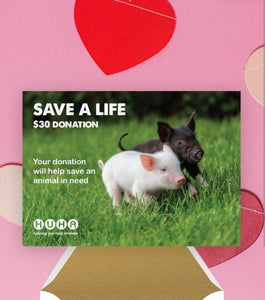 Valentine's E-Card $30 Save a Life Donation