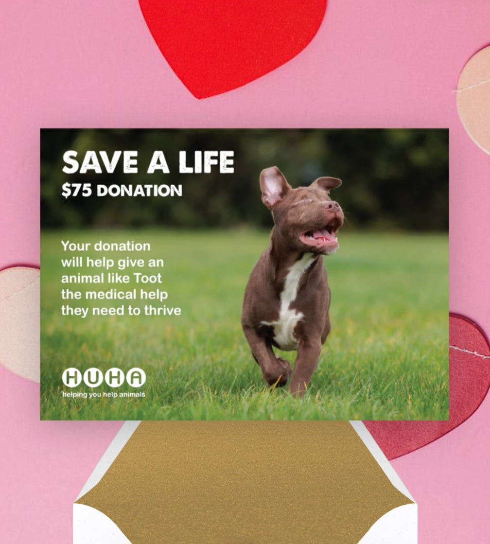 Valentine's E-Card $75 Gift of Life Donation