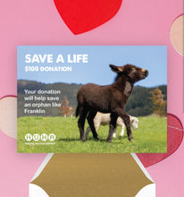 Load image into Gallery viewer, Valentine&#39;s E-Card- Help Save an Orphan
