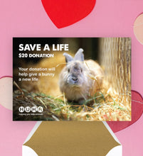 Load image into Gallery viewer, Valentine&#39;s E-Card $20 Gift of Life Donation
