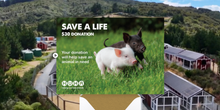 Load image into Gallery viewer, E-Card $30 Save a Life Donation
