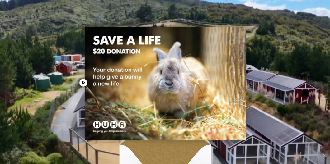 E-Card $20 Gift of Life Donation