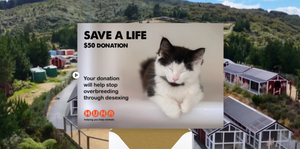 E-Card $50 Save a Life Donation