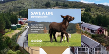 Load image into Gallery viewer, E-Card- Help Save an Orphan
