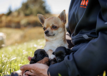 Load image into Gallery viewer, 2026 HUHA Calendar
