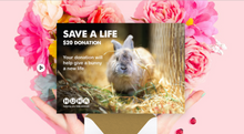 Load image into Gallery viewer, E-Card $20 Gift of Life Donation
