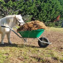 Load image into Gallery viewer, Wishlit- Hay Bale
