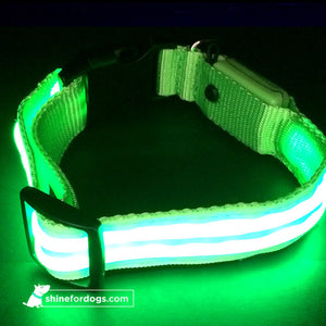 Rechargable LED dog Collars