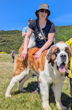 Load image into Gallery viewer, Pre-order Sheltering Animals since 2001 Tee
