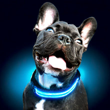 Load image into Gallery viewer, Rechargable LED dog Collars
