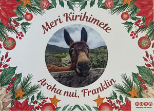 Franklin Christmas Cards