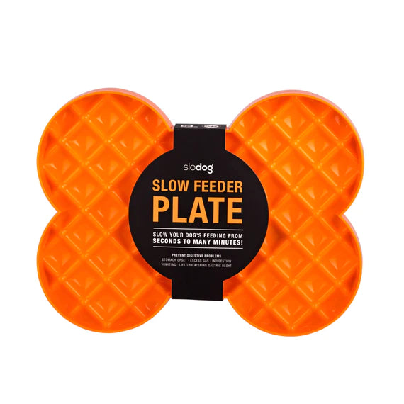 SloDog Slow Feeder