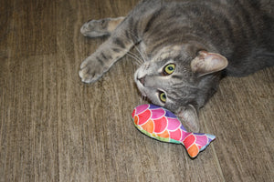 Catnip Fishie Toy