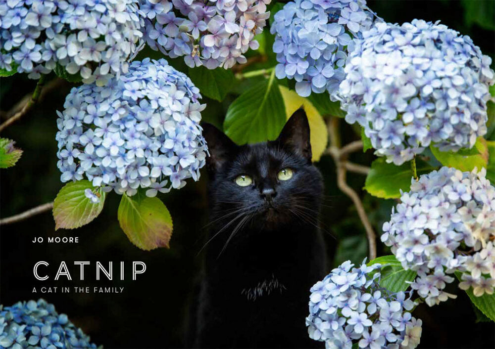 CATNIP - A Cat in the Family - by Jo Moore
